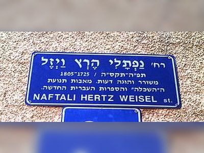 Naphtali Hertz Wiesel: A Journey of Remembrance - moreshet.com