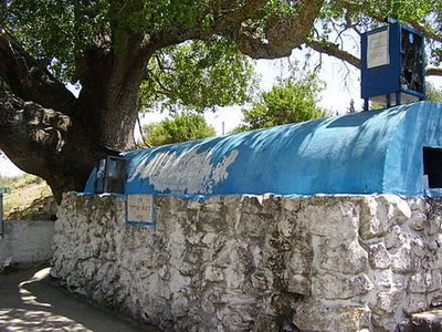 רבי טרפון - moreshet.com